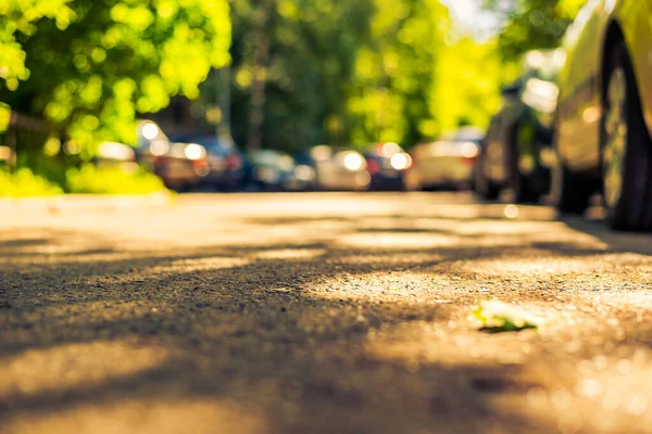 Miejska Alejka Drzewami Słoneczny Dzień Zaparkowane Samochody Drodze — Zdjęcie stockowe