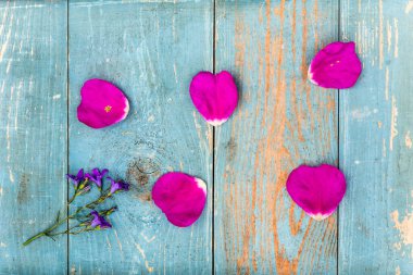 Mavi boyayla kaplı eski ahşap masada çan çiçekleri..