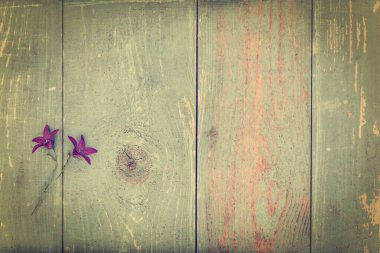 Mavi boyayla kaplı eski ahşap masada çan çiçekleri..