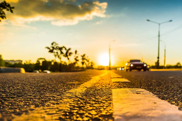 Sunset in the country, the stream of cars passing by on the high