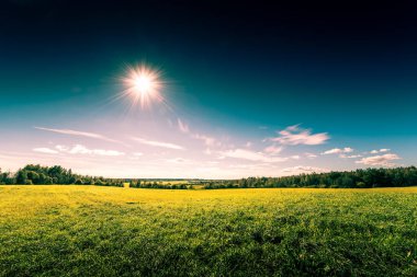 view of green field under blue cloudy sky