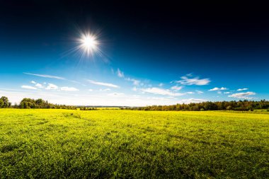 view of green field under blue cloudy sky