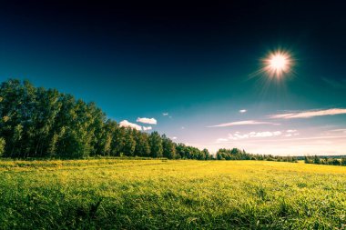 view of green field under blue cloudy sky