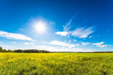 view of green field under blue cloudy sky