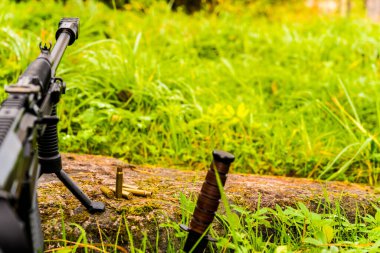 Tüfek kayanın üzerinde boş kabukları olan bir bipod üzerinde duruyor. 
