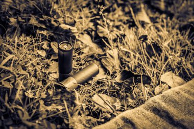 12 kalibrelik mermiler ve çimlerin üzerinde düşmüş yapraklarla bir parça tuval.