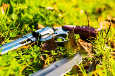 Combat knife and revolver on the grass with fallen leaves.
