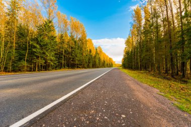 Sonbahar kırsal yolu bir ormanın içinden geçiyor. Görüntüyü kapat