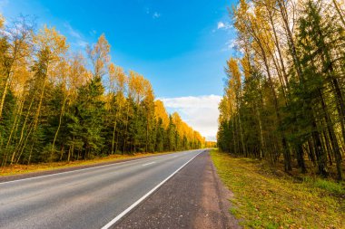Sonbahar kırsal yolu bir ormanın içinden geçiyor. Görüntüyü kapat