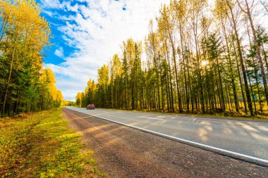Sonbahar kırsal yolu bir ormanın içinden geçiyor. Görüntüyü kapat