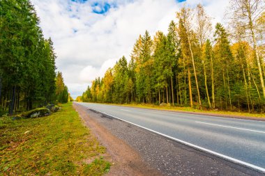 Sonbahar kırsal yolu bir ormanın içinden geçiyor. Görüntüyü kapat