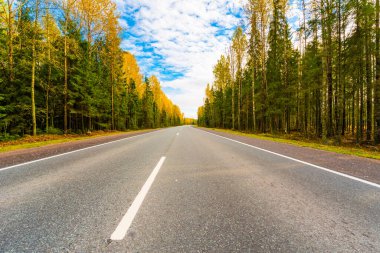 Sonbahar kırsal yolu bir ormanın içinden geçiyor. Görüntüyü kapat