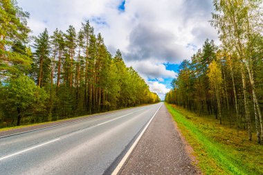 Sonbahar kırsal yolu bir ormanın içinden geçiyor. Görüntüyü kapat