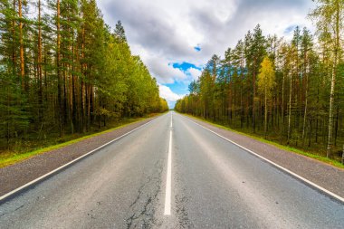 Sonbahar kırsal yolu bir ormanın içinden geçiyor. Görüntüyü kapat