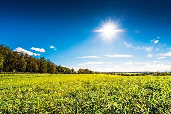 Blick Auf Das Grüne Feld Unter Blauem Bewölkten Himmel — Stockfoto