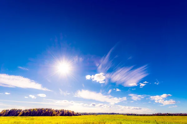 Pohled Zelené Pole Pod Modrou Oblačnou Oblohou — Stock fotografie