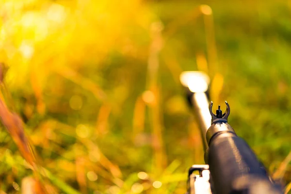 Visant Fusil Dans Herbe Automne Recouvert Rosée Matinale — Photo