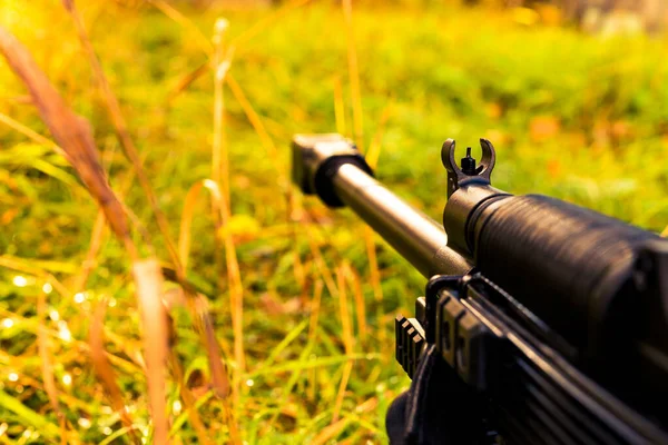 Das Gewehr Herbstlichen Gras Das Mit Morgentau Bedeckt Ist — Stockfoto