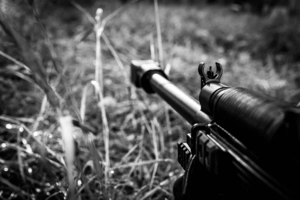 Apuntando Rifle Hierba Otoño Cubierta Rocío Matutino — Foto de Stock