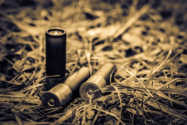 12毫米子弹落在草地上的落叶 — 图库照片