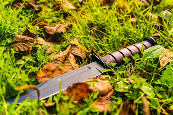 Nóż Bojowy Trawie Opadłymi Liśćmi — Zdjęcie stockowe