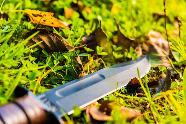 Nóż Bojowy Trawie Opadłymi Liśćmi — Zdjęcie stockowe