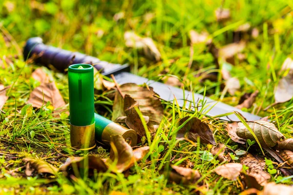 Combat Knife Two Gauge Bullets Grass Fallen Leaves — Stock Photo, Image