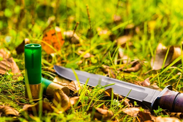一把战刀和两颗12口径子弹落在草地上的落叶 — 图库照片