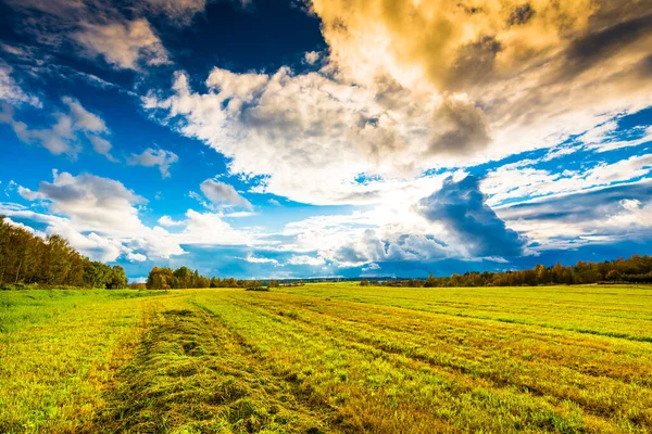 Schöne Landschaft Mit Einem Weizenfeld Und Einem Bewölkten Himmel — Stockfoto
