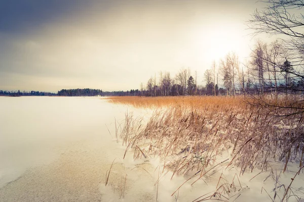 Východ Slunce Pozadí Zamrzlého Jezera Lese — Stock fotografie