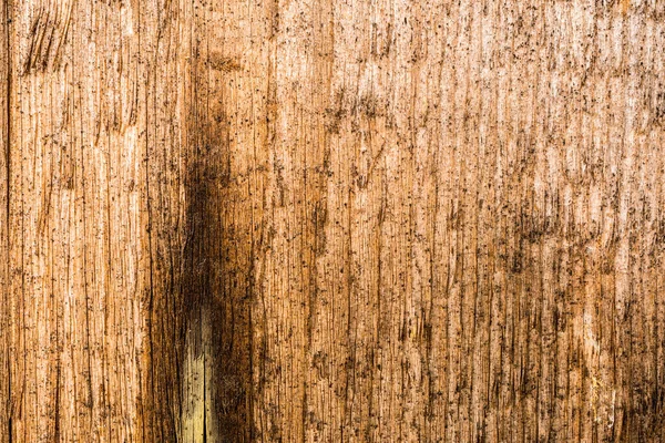 Alte Holzwand Mit Rissen Blick Aus Nächster Nähe — Stockfoto