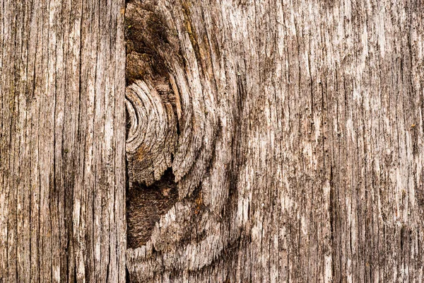 Stare Zgniłe Drewniane Ściany Węzłami Zobacz Bliska — Zdjęcie stockowe