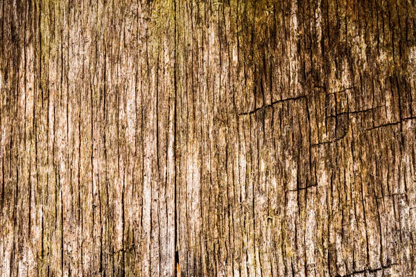 Stary Zepsuty Drewniany Mur Zobacz Bliska — Zdjęcie stockowe