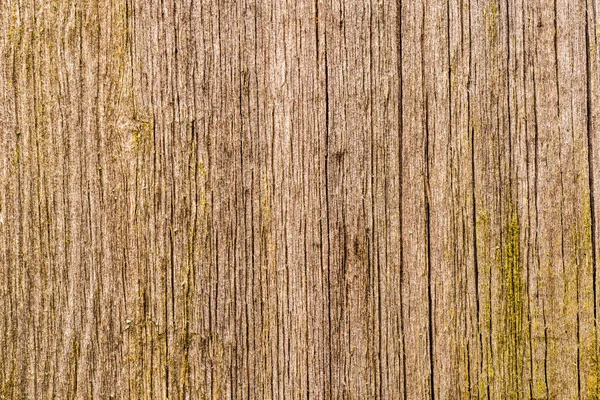 Alte Und Morsche Holzwand Blick Aus Nächster Nähe — Stockfoto