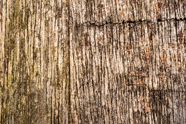 Stary Zepsuty Drewniany Mur Zobacz Bliska — Zdjęcie stockowe
