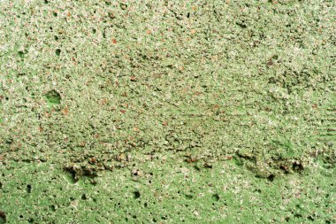 Yeşil renge boyanmış beton duvar. Görüntüyü kapat