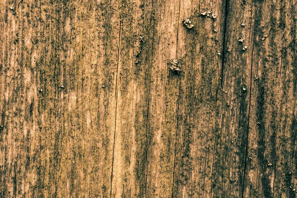Alter Rostiger Metallhintergrund Mit Einer Holztür — Stockfoto
