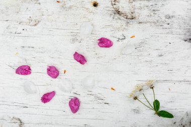 Beyaz çiçekli ve yapraklı bir kiraz ağacının ıslak dalı