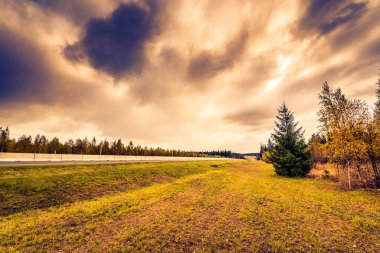 Sonbahar banliyö otoyolu. Yolun kenarından manzara.