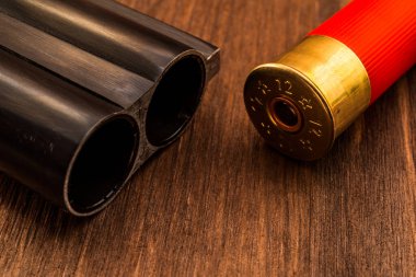 Çift namlulu av tüfeği namlusu ve yeşil fişek. Görüntüyü kapat