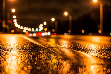 Büyük şehirde yağmurlu bir gece, ormandan geçen otoban.