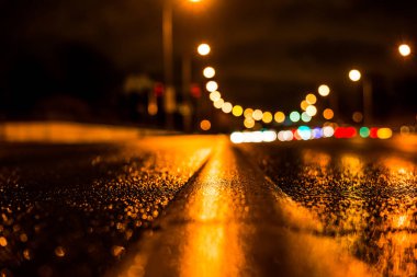 Büyük şehirde yağmurlu bir gece, ormandan geçen otoban.