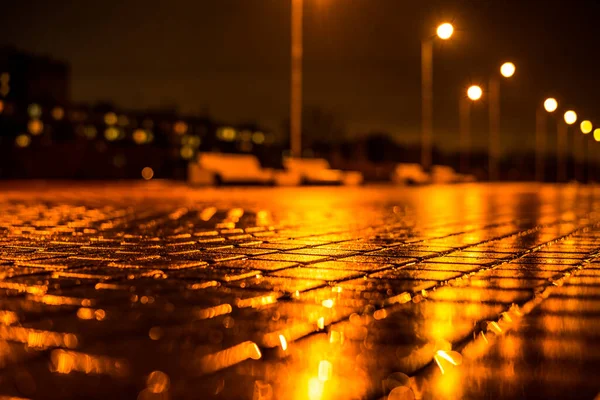 Δρόμος Στο Πάρκο Φωτίζεται Από Φανάρια Μετά Βροχή Θέα Από — Φωτογραφία Αρχείου