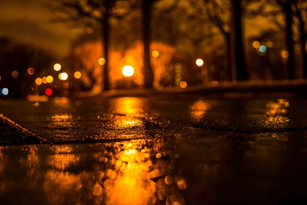 Parkallee Der Nacht Das Licht Der Laternen — Stockfoto