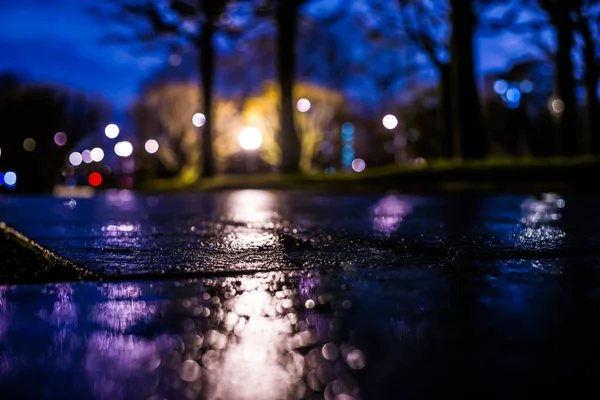 Park alley at night after the rain, the light from the lanterns