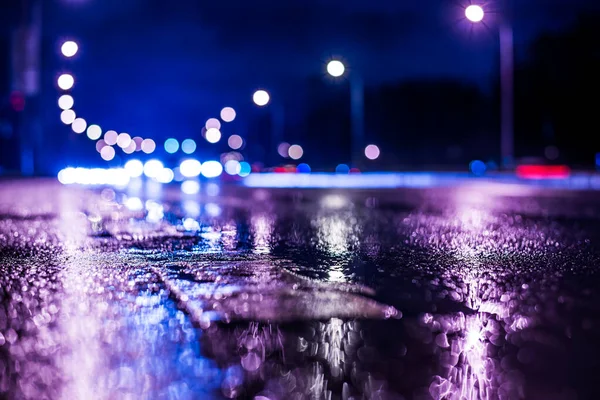 Rainy night in the big city, highway passing through a forest