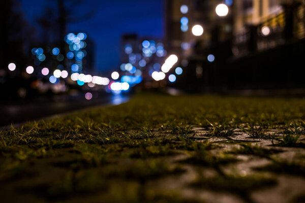 Rainy night in the big city, alley covered with grass