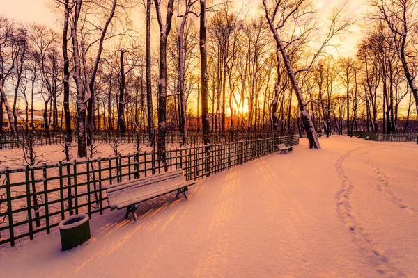 Ulička Městského Parku Světle Zapadajícího Zimního Slunce — Stock fotografie