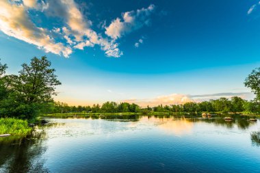 Ormandaki sessiz göl batan güneşin ışığı altında.