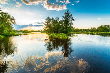 Ormandaki sessiz göl batan güneşin ışığı altında.